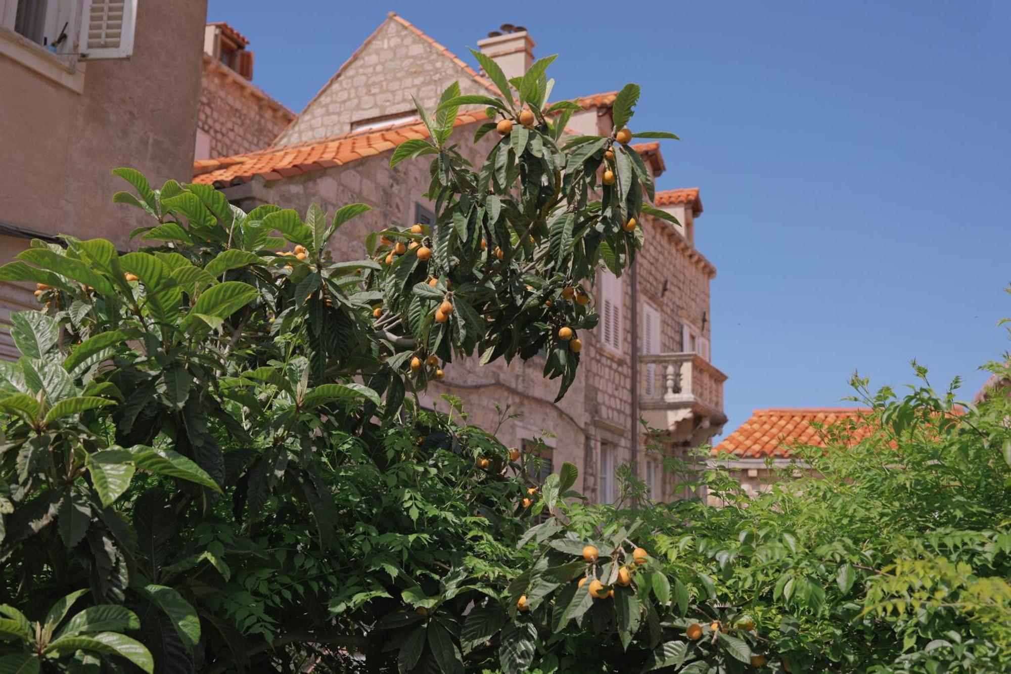 Old Town Green Oasis House Dubrownik Zewnętrze zdjęcie